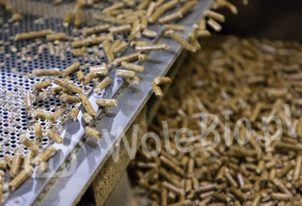 pellet drzewny dębowy produkcja