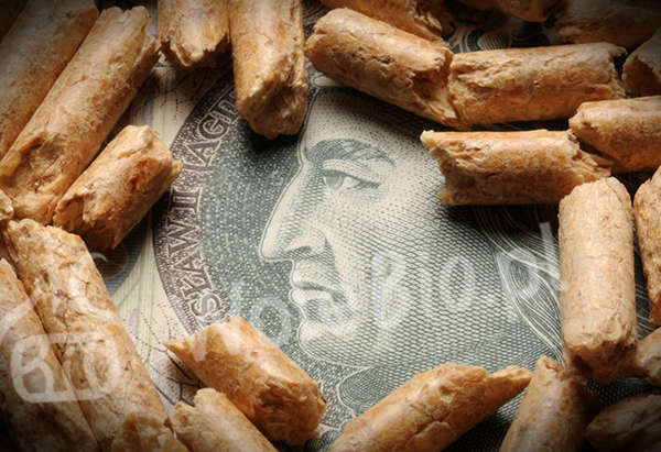 cena pelletu drzewnego pieniądze pellet